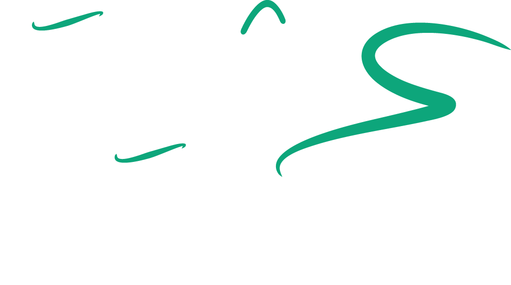 رشيق